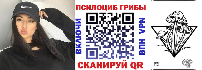 Псилоцибиновые грибы Psilocybe  МЕГА онион  Малоархангельск  где купить  